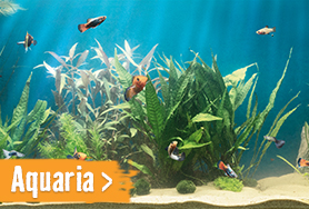 Aquaria | HORNBACH