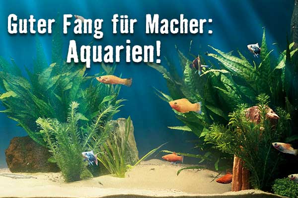 Alles rund um Aquaristik im HORNBACH Onlineshop