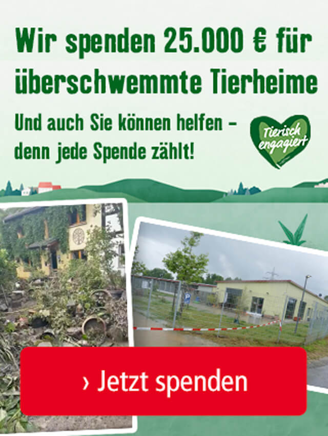 Wir spenden 25.000 € für überschwemmte Tierheime. Und auch Sie können helfen - denn jede Spende zählt!