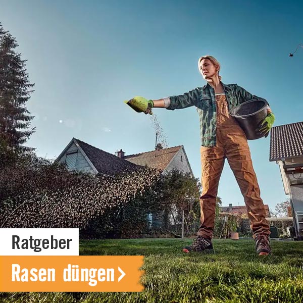 HORNBACH Ratgeber Rasen düngen