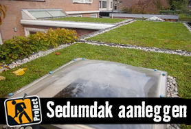 Sedumdak aanleggen | HORNBACH