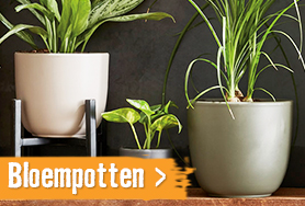 Bloempotten | HORNBACH
