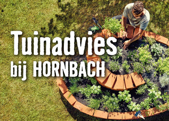 Tuinadviesdagen | HORNBACH