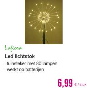 Lichtstok LED 80st warmwit | HORNBACH