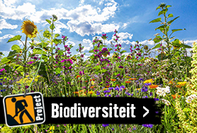 Alles over biodiversiteit | HORNBACH