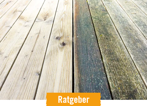 HORNBACH Ratgeber Grünbelag entfernen