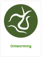 Ontworming