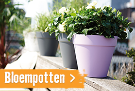 Bloempotten & plantenbakken | HORNBACH