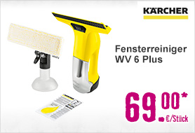 Fensterreiniger Kärcher WV 6 Plus