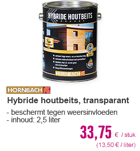 HORNBACH Hybride houtbeits kleurloos 2,5 l | HORNBACH