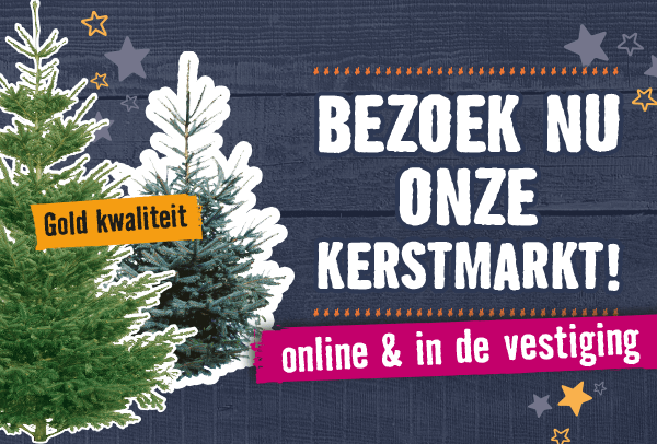 Bezoek nu onze kerstmarkt online & in de vestiging | HORNBACH