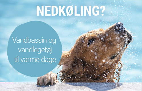 Sommer legetøj