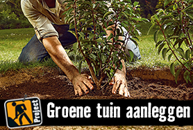 Groene tuin aanleggen | HORNBACH