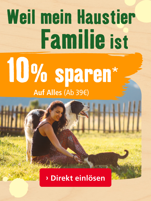 10% Rabatt auf alles!