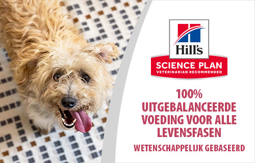 Hill's Science Plan, 100% uitgebalanceerde voeding voor alle levensfasen!