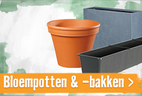 Bloempotten & plantenbakken | HORNBACH