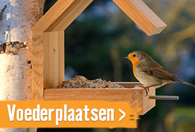 Voederplaatsen & nestkastjes | HORNBACH
