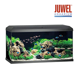 JUWEL Aquarium set Primo 110 2.0 zwart 110 L, 81x36x43,5 cm | HORNBACH