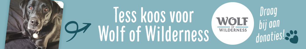 Tess koos voor Wolf of Wilderness!