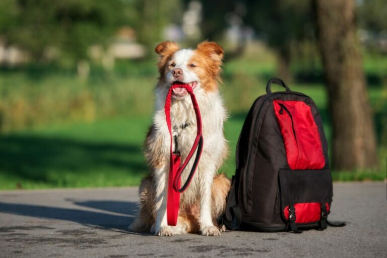 Plan je wandelingen verstandig.