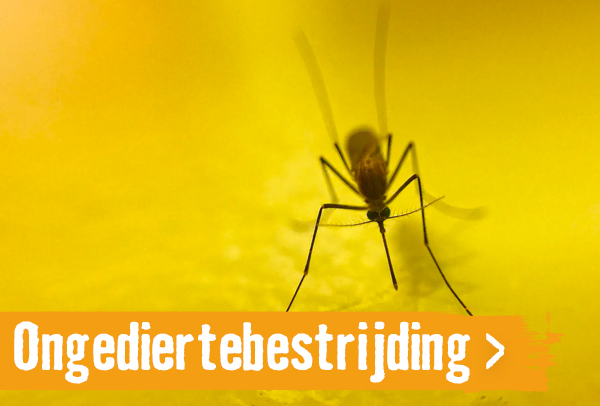 ongediertebestrijding | HORNBACH
