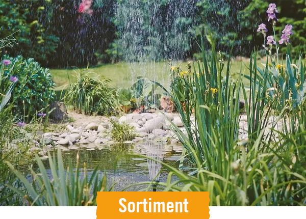 HORNBACH Sortiment Teich