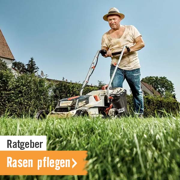 HORNBACH Ratgeber Rasen pflegen