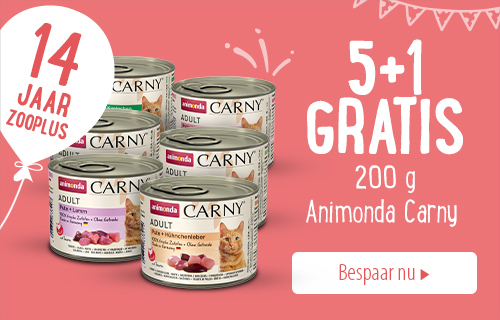 5 + 1 gratis! Animonda Carny