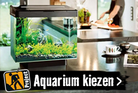 Aquaria kiezen | HORNBACH