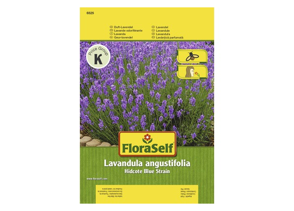 Lavendel 'Hidcote Blue Strain' FloraSelf samenfestes Saatgut Blumensamen