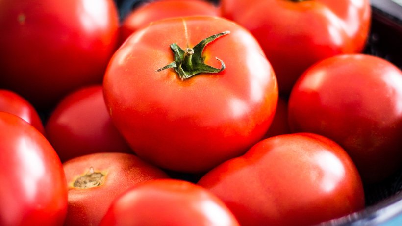  Wasserverbrauch und weite Transportwege machen Tomaten zu einem Gemüse mit schlechter Ökobilanz. © Deniz Altindas/unsplash.com 