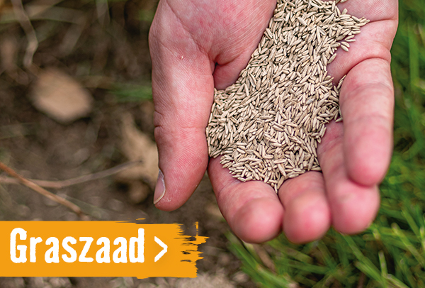 graszaad | HORNBACH