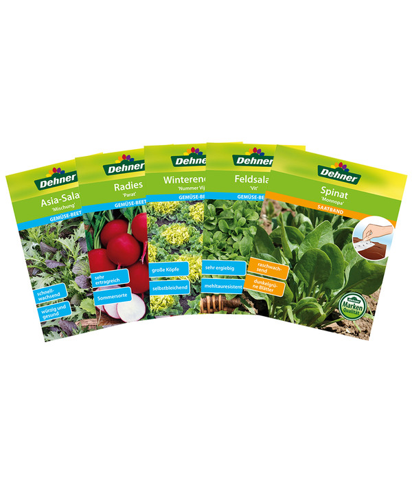 Dehner Samen-Set Vitaminkick für den Winter