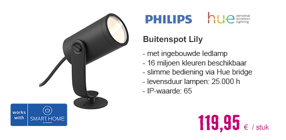 PHILIPS Hue White and Color ambiance LED buitenspot Lily zwart 24V (basisset) | HORNBACH