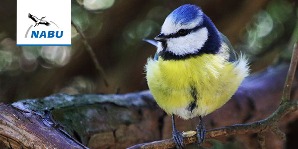 Foto: Marc Scharping
