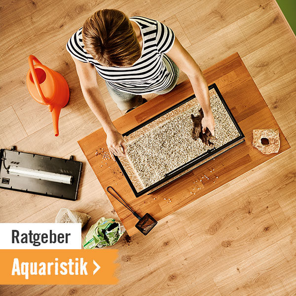 Ratgeber Aquaristik