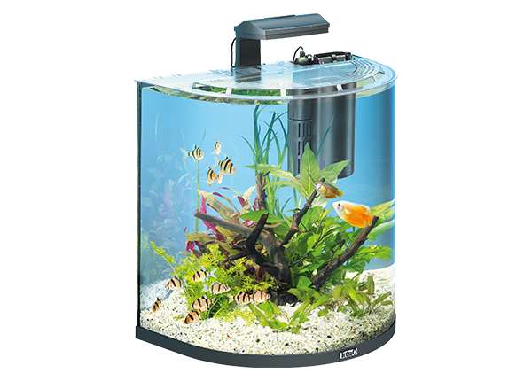 Aquarium Tetra AquaArt Explorer Line 60 l mit Beleuchtung, Heizer, Filter ohne Unterschrank schwarz