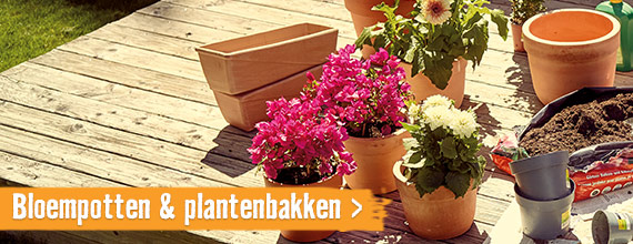 Bloempotten & plantenbakken | HORNBACH