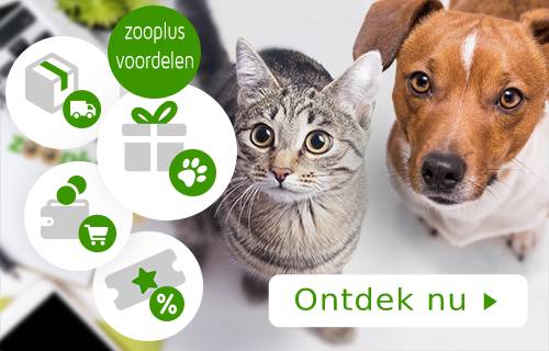 Ontdek de voordelen van zooplus!