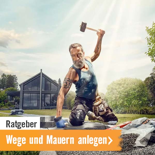 Ratgeber: Wege und Mauern anlegen