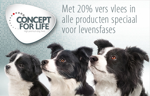 Concept for Life - Op maat gemaakt voor uw hond