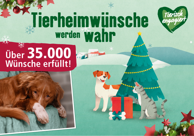 Danke für 35.000 Tierheimwünsche!