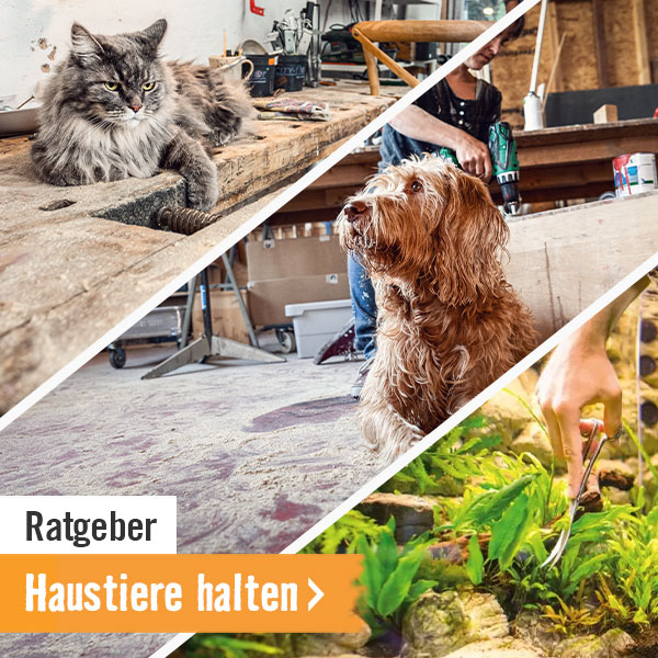 Ratgeber Haustiere halten