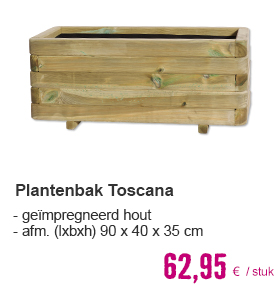 Plantenbak Toscana rechthoek 90x40x35 cm | HORNBACH