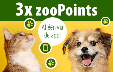 3x zooPoints via de app!