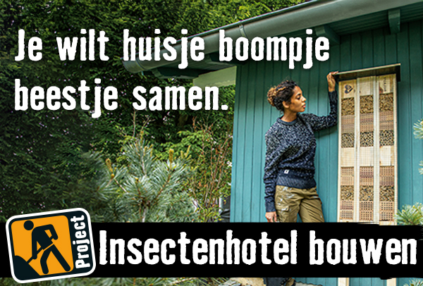 Insectenhotel bouwen | HORNBACH