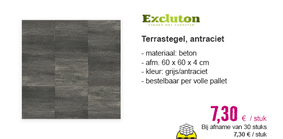  EXCLUTON Terrastegel+ grijs-antraciet 60x60x4 cm | HORNBACH