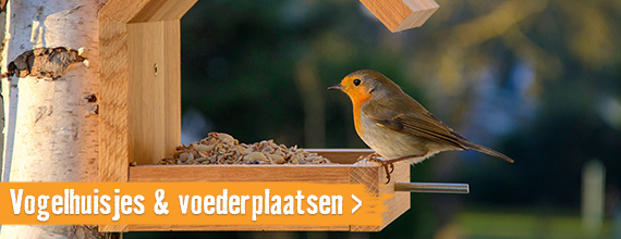 Voederplaatsen, nestkastjes & insectenhotels | HORNBACH