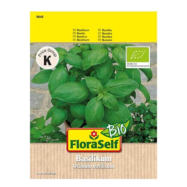Bio Basilikum 'Genoveser' FloraSelf Bio samenfestes Saatgut Kräutersamen