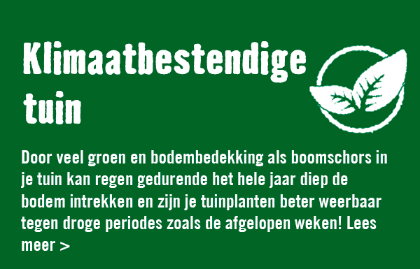 Klimaatbestendige tuin | HORNBACH